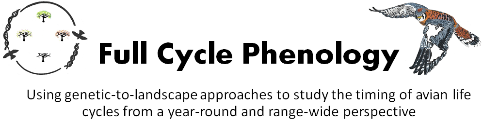 Full Cycle Phenology